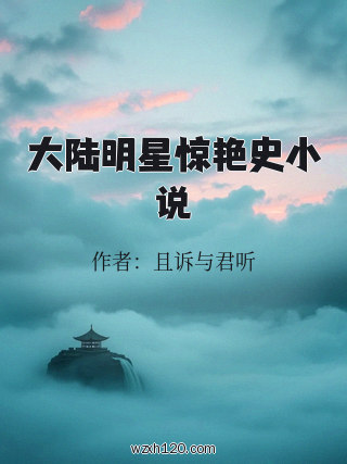 大陆明星惊艳史小说