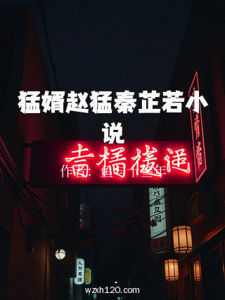 猛婿赵猛秦芷若小说