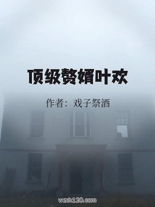 顶级赘婿叶欢