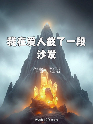 我在爱人截了一段沙发