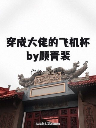 穿成大佬的飞机杯by顾青裴