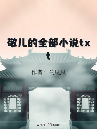 敬儿的全部小说txt