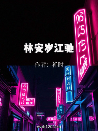 林安岁江驰