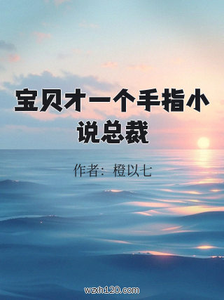 宝贝才一个手指小说总裁