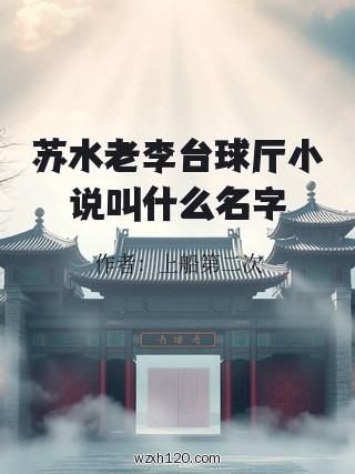 苏水老李台球厅小说叫什么名字