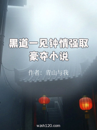 黑道一见钟情强取豪夺小说