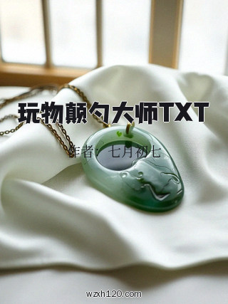玩物颠勺大师TXT