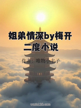 姐弟情深by梅开二度小说