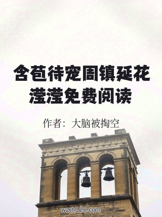 含苞待宠周镇延花滢滢免费阅读