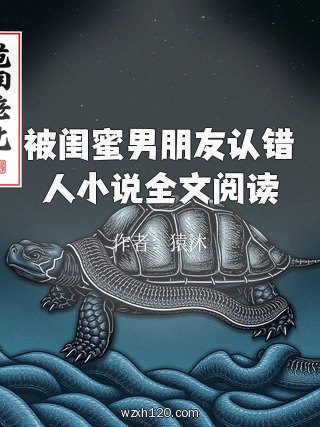 被闺蜜男朋友认错人小说全文阅读