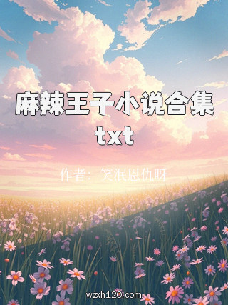 麻辣王子小说合集txt