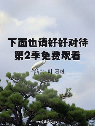 下面也请好好对待第2季免费观看