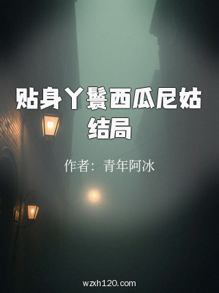 贴身丫鬟西瓜尼姑结局