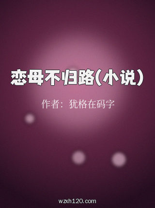 恋母不归路(小说)