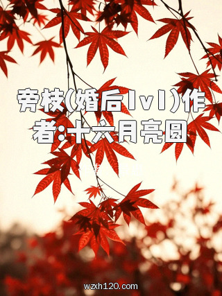 旁枝(婚后1v1)作者:十六月亮圆