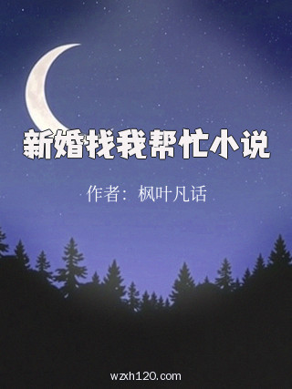 新婚找我帮忙小说