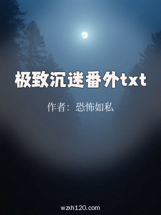 极致沉迷番外txt