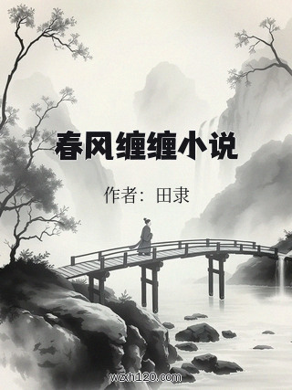 春风缠缠小说