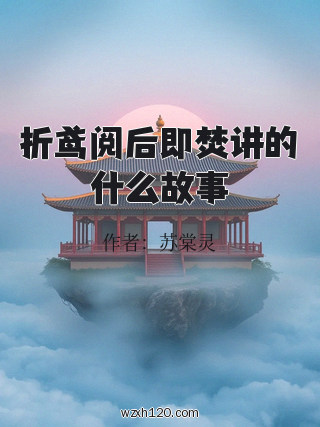 折鸢阅后即焚讲的什么故事