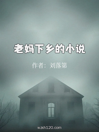 老妈下乡的小说