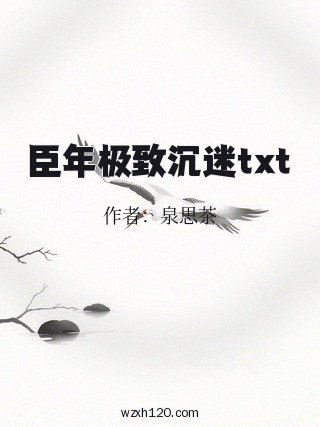 臣年极致沉迷txt