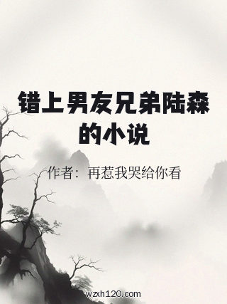 错上男友兄弟陆森的小说