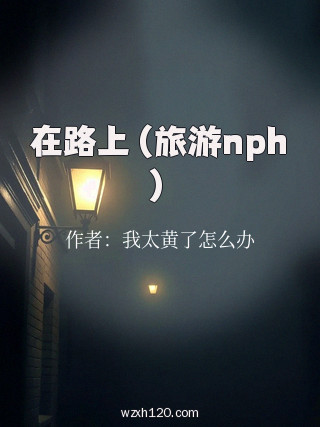 在路上(旅游nph)