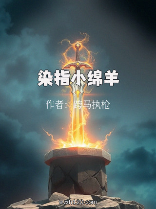 染指小绵羊