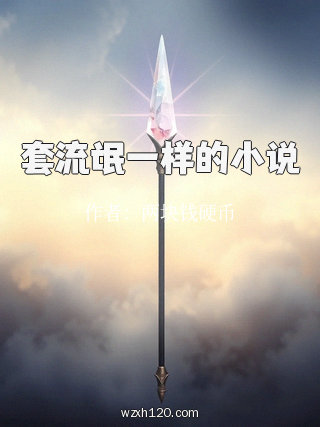 套流氓一样的小说