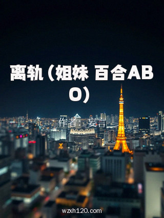 离轨（姐妹 百合ABO）