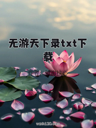 无游天下录txt下载