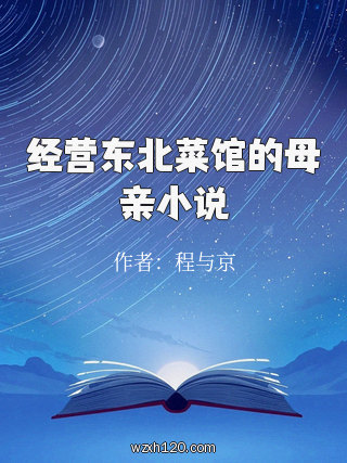 经营东北菜馆的母亲小说