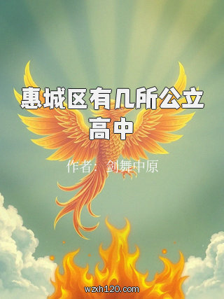 惠城区有几所公立高中