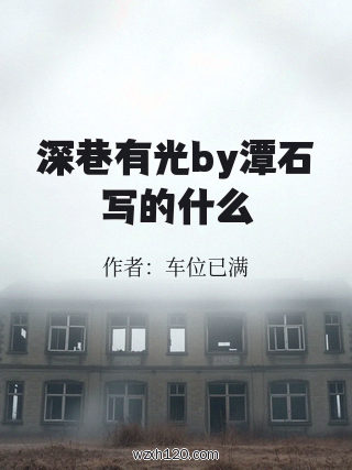 深巷有光by潭石写的什么