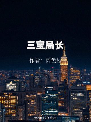 三宝局长