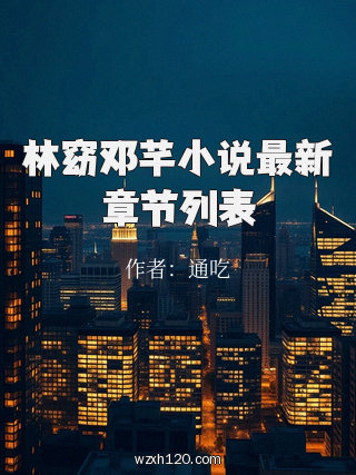 林窈邓芊小说最新章节列表