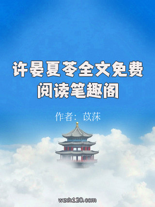 许晏夏苓全文免费阅读笔趣阁