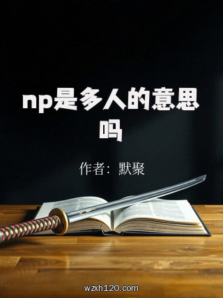 np是多人的意思吗