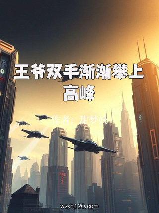 王爷双手渐渐攀上高峰