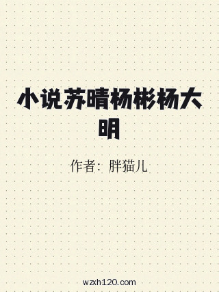 小说苏晴杨彬杨大明