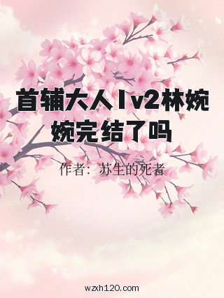 首辅大人1v2林婉婉完结了吗