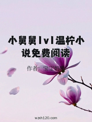 小舅舅1v1温柠小说免费阅读