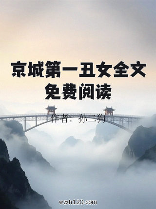 京城第一丑女全文免费阅读