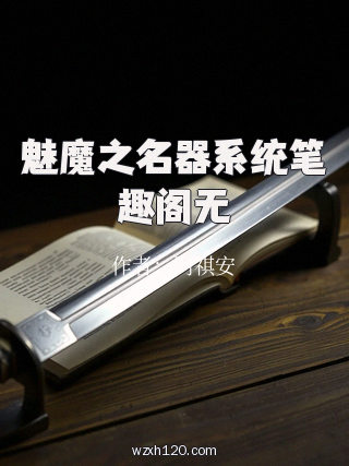 魅魔之名器系统笔趣阁无