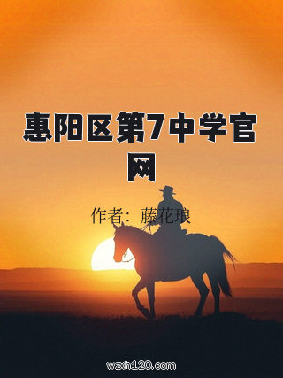 惠阳区第7中学官网