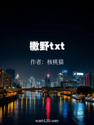 撒野txt