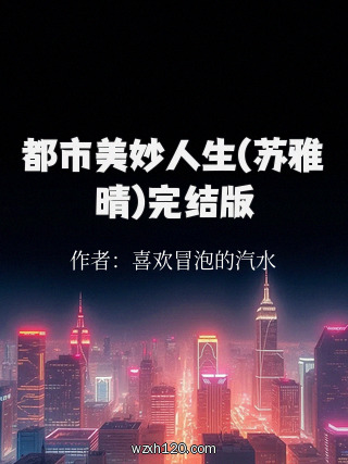 都市美妙人生(苏雅晴)完结版