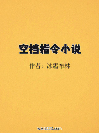 空挡指令小说