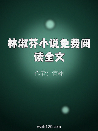 林淑芬小说免费阅读全文