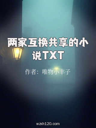 两家互换共享的小说TXT